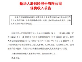 新华保险：前11月原保险保费收入为1631.663亿元 同比增长 2.2%