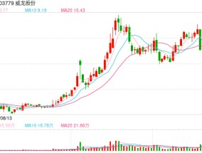 威龙股份暴雷！实控人涉嫌挪用资金罪被监视居住，股价“提前”大跌数日