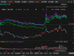 金圆股份涉嫌信息披露违法违规被立案