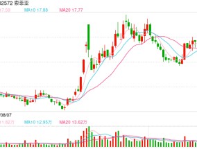 索菲亚：集成整装事业部营业收入同比增长26.34% 家装补贴政策提升了消费意愿