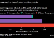报告：印尼将向全球买家供应国内碳信用