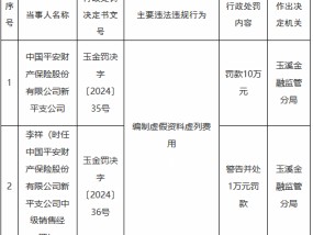 平安产险新平支公司因编制虚假资料虚列费用被罚10万元