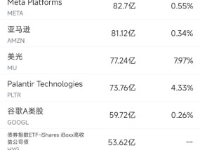 12月19日美股成交额前20：美光业绩远逊预期股价大跌16%