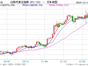 MicroStrategy创始人重磅发声：比特币堪比“网络曼哈顿”